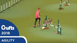 YKC Agility Dog of the Year  Crufts 2018 [upl. by Divadleahcim743]