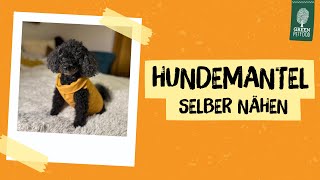 DIY  Hundemantel selber nähen  Einfache Anleitung für NähAnfänger [upl. by Attelrahc]