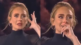 Why Adele Is Pausing Her Music Career [upl. by Nuawaj]