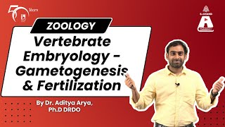 Vertebrate Embryology  Gametogenesis and Fertilization  Zoology  S Chand Academy [upl. by Colt973]