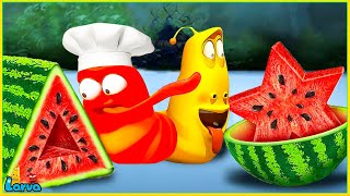 LARVA  DANGER  Cartoon Movie  Cartoons  Comics  Larva Cartoon  LARVA Official [upl. by Suertemed]