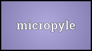 Micropyle Meaning [upl. by Seed]