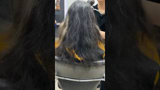 Transforming Grey Hair into a Stunning OneShade Dye at Salon  haircolor greyhairtransition [upl. by Amsirac]