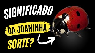 significado da joaninha [upl. by Faustine]