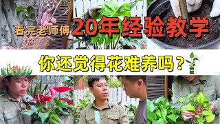 【超级大合集 】看完老师傅20年经验教学，你还觉得花难养吗？garden plants 花卉绿植 盆栽 [upl. by Nuahsar759]