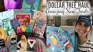 DOLLAR TREE HAUL  ANOTHER HUGE JACKPOT HAUL [upl. by Irej137]