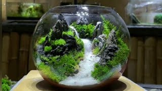 Simple Terrarium DIY Project terrarium landscape diy terrariumart project [upl. by Saddler728]