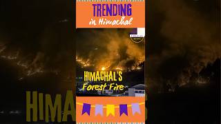 Himachal’s Forests in Flames [upl. by Ikkin]