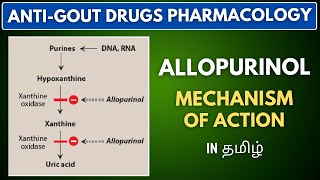 Mechanism of Action of Allopurinol 879 [upl. by Rol755]