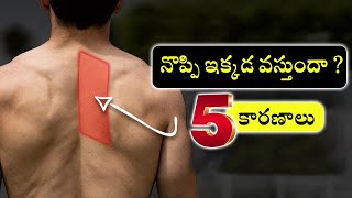 Pain between shoulder blades  Rhomboid pain  Telugu  Dr Ramprasad Kancherla [upl. by Lyrret]