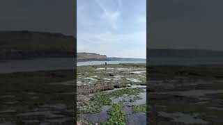 Fishing Worms Head The Gower September 2024 [upl. by Zacek]