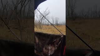 Remington model 7400 wisconsin deerhunting viewfrommystand2024 fredbear outdoors [upl. by Eibrab18]