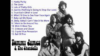 Tommy James And The Shondells [upl. by Bashee791]