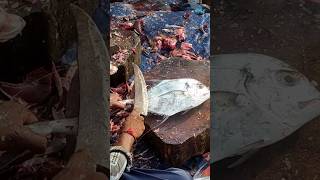 Travelly Fish Speed Cutting  Sea Style  Engineering Meenavan meenavan fishing fish [upl. by Asante]