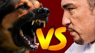 Cesar Millan vs Aggressive Dogs Compilation Video [upl. by Aney]