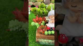 Good idea design planting succulents in pot so beautiful indoorgardening nature diy shorts [upl. by Killian]