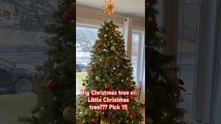 Big Christmas tree or Little Christmas tree Pick one christmas christmastree christmasmusic [upl. by Brentt]