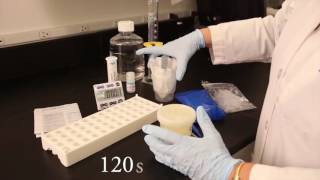 ENTRENAMIENTO  MICOTOXINAS  Aflatoxina Free [upl. by Berlin319]