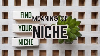 What is the meaning of Niche [upl. by Ateinotna]