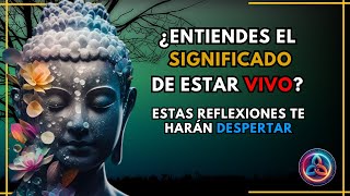 20 Frases INSPIRADORAS Que Harán CUESTIONARTE Tu ViDA consejosdevida [upl. by Aiuqram247]