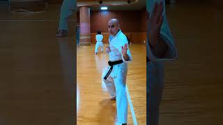 🥋 OSU 🥋 SHOTOKAN RYU [upl. by Chipman]