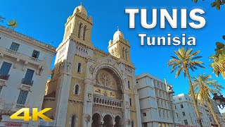 Tunis Centre Walking Tour  Tunisia【4K HD  60fps】🇹🇳 [upl. by Einnaj]