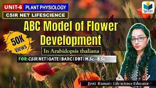 ABC Model of Flower Development in Arabidopsis  CSIRNET  GATE  Plant biology [upl. by Machute]