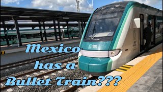 Tren Maya The Mexican Bullet Train travel trainmexico [upl. by Aihsrop]