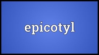 Epicotyl Meaning [upl. by Tami]