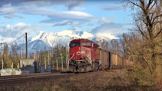 CN amp CP TRAINS MADNESS Canadian Rails in the Lower Mainlands of British Columbia [upl. by Hahsi]