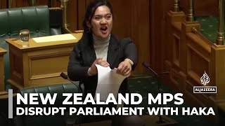 Haka pauses parliament New Zealands founding document at centre of protests [upl. by Eremahs]