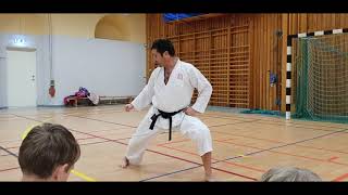 Enpi  Kihon and Key Elements of the Kata [upl. by Atworth]