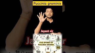 Puccinia graminis fungi plants viralvideo trending news animalplanet plants [upl. by Filipe]