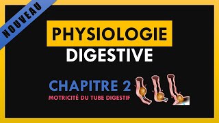 Physiologie Digestive  Chapitre 2  Motricité du tube digestif [upl. by Macmahon]