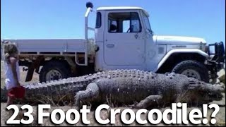 Largest Crocodiles In The World [upl. by Enileoj]