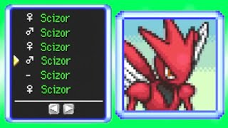 They made a Pokémon Mystery Dungeon Randomizer [upl. by Irme]