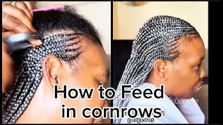 How to Feed In Cornrows Like a Pro StepbyStep Guide for Perfect Braids [upl. by Ezara]