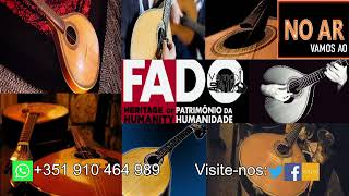 VAMOS AO FADO 2023 45 [upl. by Anaeg125]