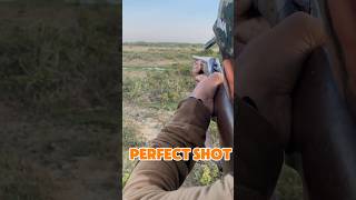 12 Gauge Shotgun youtubeshorts weapon shotgun 30bore 12Gauge duckhuntinge hunting miltiq [upl. by Jerrylee]