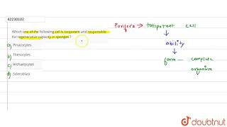 Which one of the following cell I totipotent and responsible for regenerative capacity in sponges [upl. by Onidranreb]