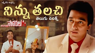 Ninnu Telichi తెలుగు లిరిక్స్  Vichitra Sodarulu  Kamal Haasan Gautami  Ilaiyaraaja [upl. by Ailemac367]