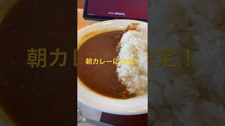 【すき家】モーニングはすき家でカレー大盛り！すき家モーニング朝ごはんカレー大盛り飯テロ [upl. by Macintosh]