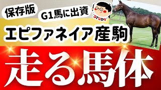 【競馬】【一口馬主】G1馬の馬体表！エピファネイア産駒の特徴！中長距離路線の理想的な馬体とは？ [upl. by Aveer949]