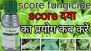 score syngenta  score fungicide  difenoconazole 25 ec  difenoconazole  score [upl. by Ceevah]