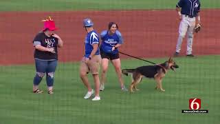 Dog plays fetch in minor league infield [upl. by Ejrog566]