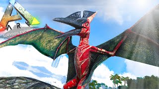 ARKDEX na Prática  Ptero  Pteranodon  Pteranodonte  ARK Survival Evolved [upl. by Lekzehcey]