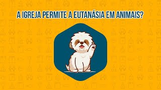 The Church  A Igreja permite a eutanásia em animais  Felipe Aquino [upl. by Iraam948]