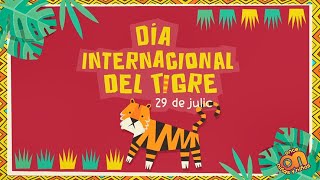 Acuérdate de Día Internacional del tigre 🐅 [upl. by Macleod]