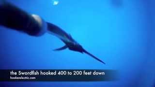 Hooker Electric Deep water camera catches swordfish 1500 ft down [upl. by Lasser617]