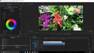 How to Use HSL Secondary Effect in Lumetri Premiere Pro CC 2017 [upl. by Novrej]